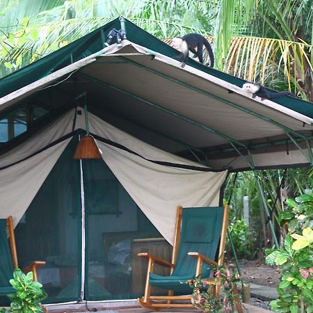 Matapalo  Rafiki Beach Camp מראה חיצוני תמונה