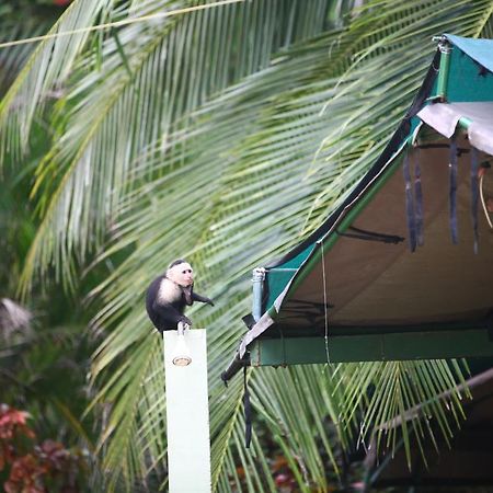 Matapalo  Rafiki Beach Camp מראה חיצוני תמונה