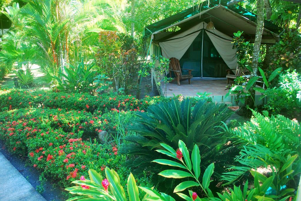 Matapalo  Rafiki Beach Camp חדר תמונה