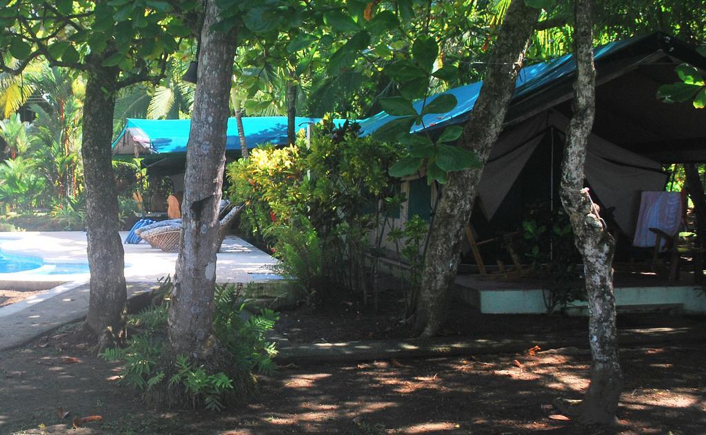 Matapalo  Rafiki Beach Camp חדר תמונה